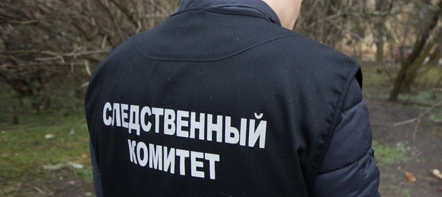 Фото: из публикаций 1rnd.ru