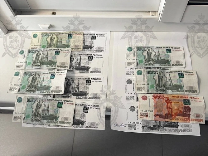 Фото: СУ СК по Ростовской области 