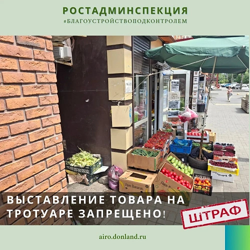 Фото: Административная инспекция РО