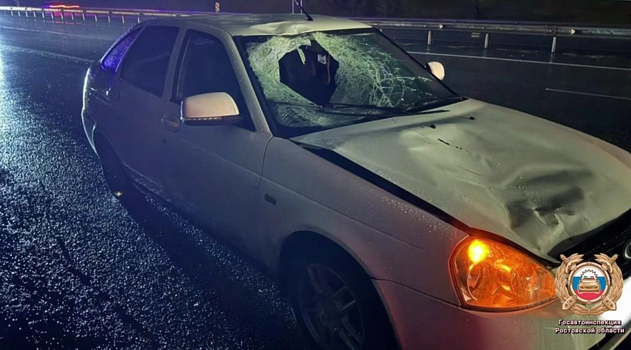 Фото: Госавтоинспекции Ростовской области 