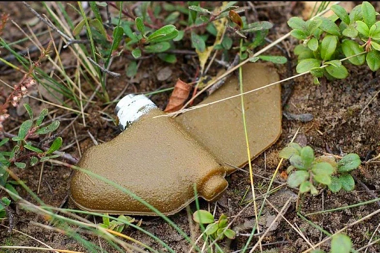 Фото: мина-лепесток \\ тг-канал "Типичный Донецк"