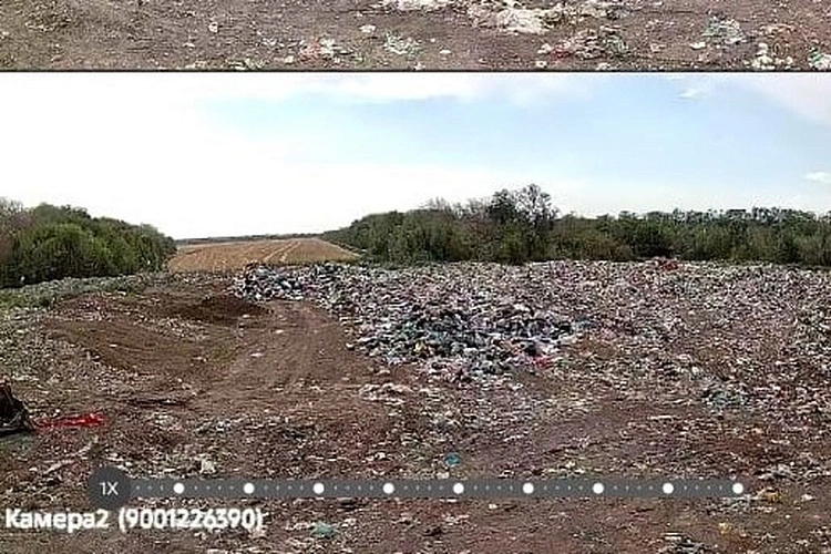 Фото: Правительства Ростсовской области.