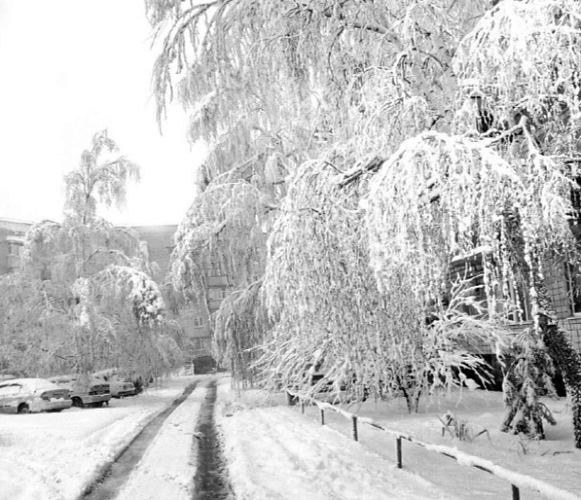 Фото: кадр 1Rnd