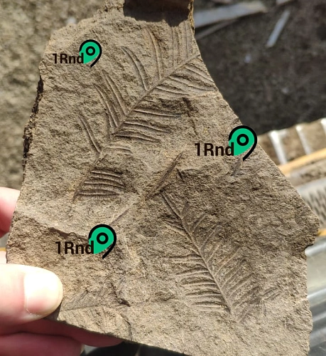 Фото: кадр 1Rnd