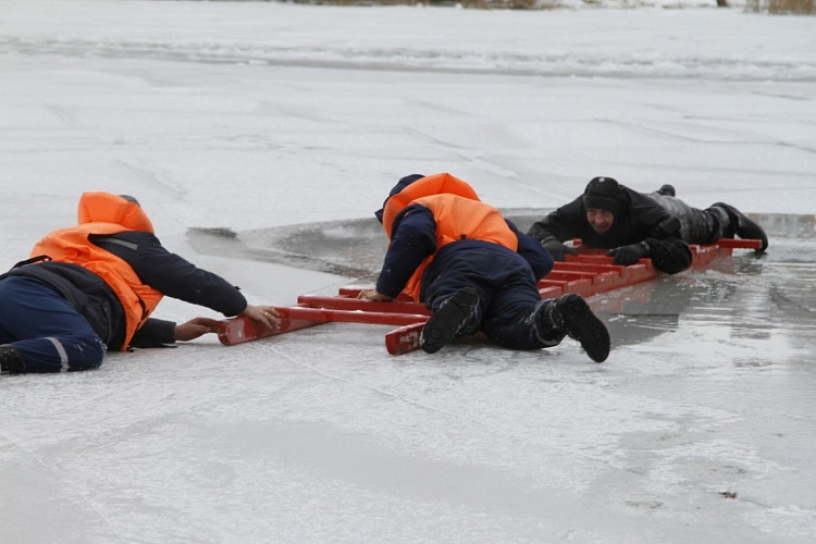 Фото:  ДПЧС Ростовской области