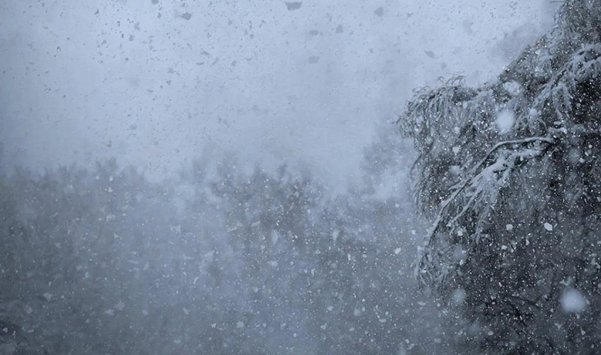 Фото: Нейросеть