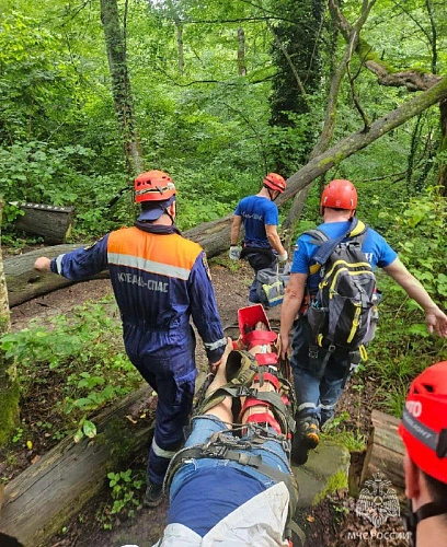 Фото: кадр МЧС России