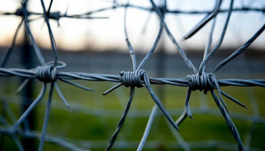 Фото: сгенерировано нейросетью Шедеврум