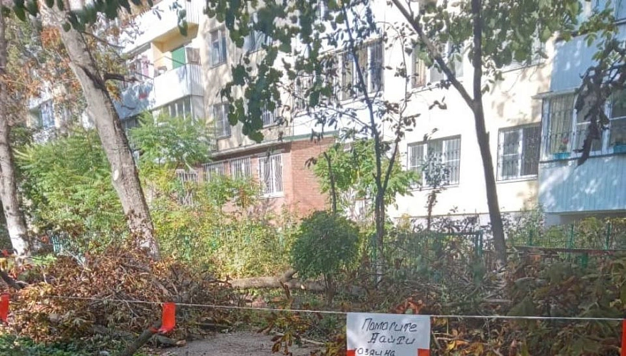 Фото: очевидцев