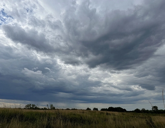 Фото: Изображение сгенерировано нейросетью 