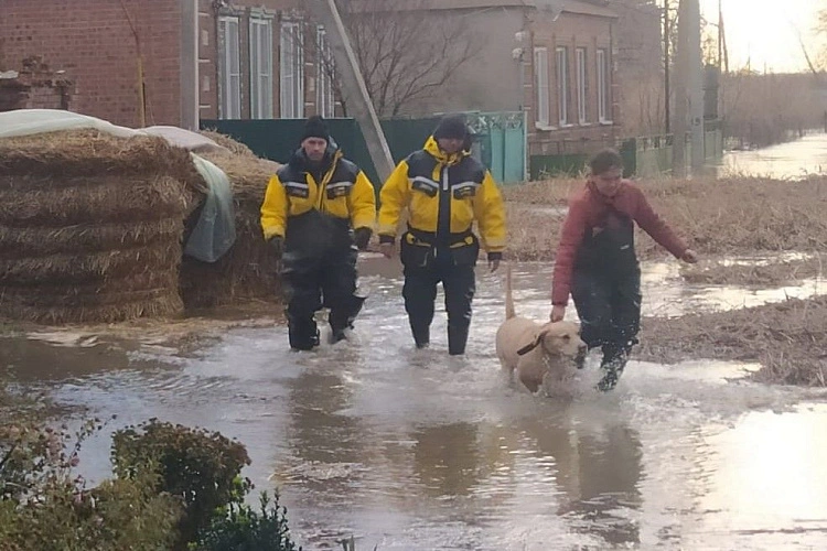 Фото: Губернатор Голубев сообщил о снижении уровня воды на отдельных участках Ростовской области // фото сайт ПРО