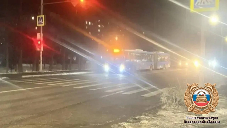 Фото: Госавтоинспекция Ростовской области