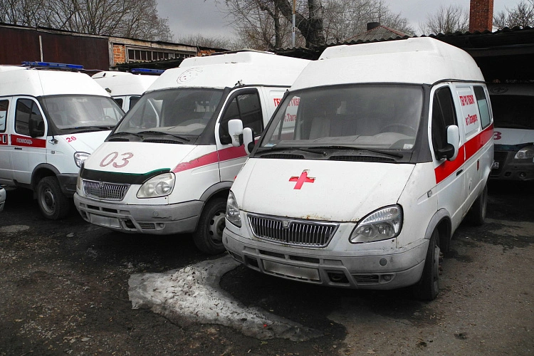 Фото: Правительство Ростовской области 