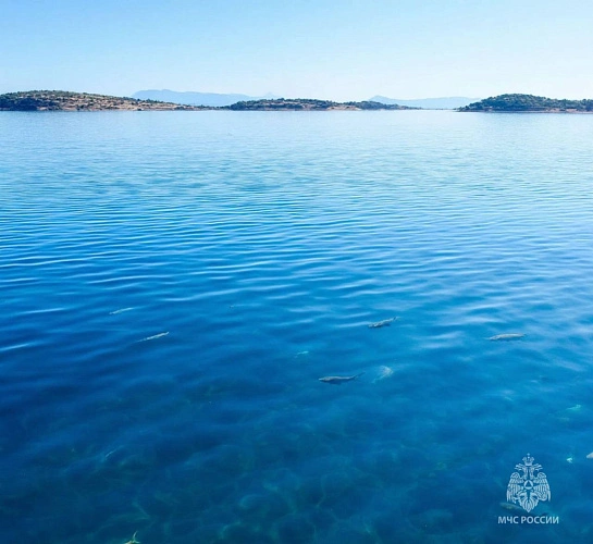 Фото: МЧС Ростовской области