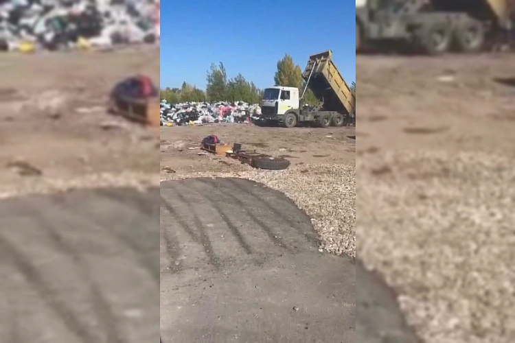 Фото: МВД по Ростовской области 