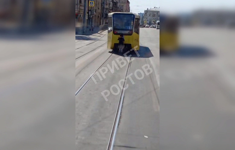 Фото: ТГ канала Privet-Rostov.ru