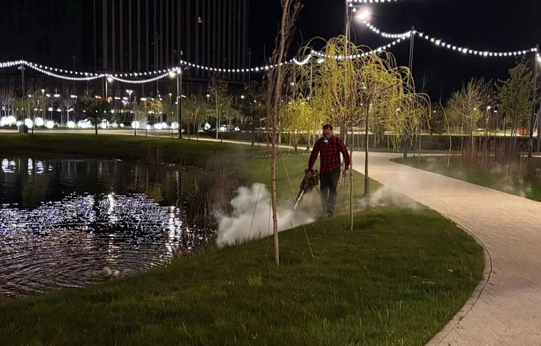 Фото: Администрация Ростова-на-Дону