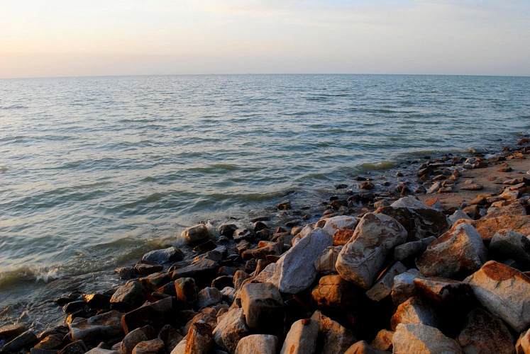 Фото: На берегу Азовского моря, кадр 1rnd