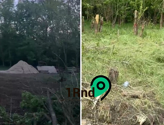 Фото: очевидцы вырубки зелёной рощи  