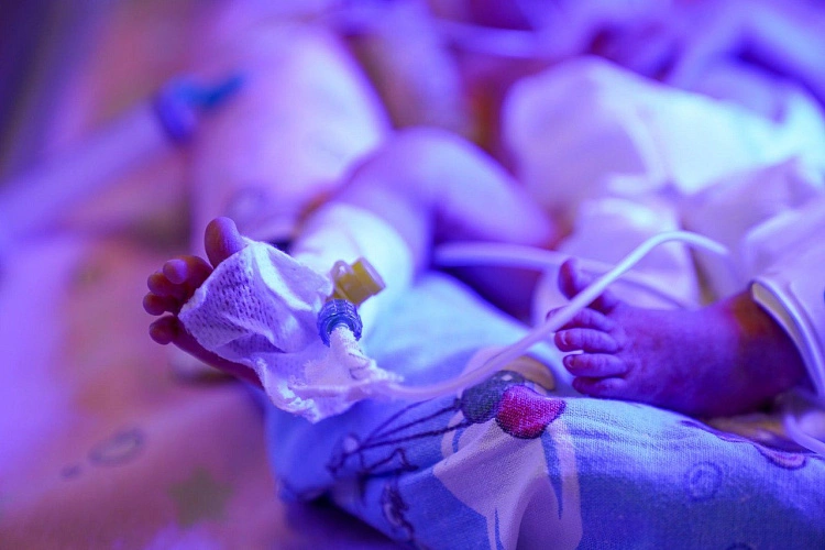 Фото: перинатального центра РО