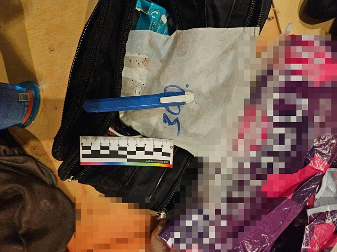 Фото: СУ СК по Ростовской области 