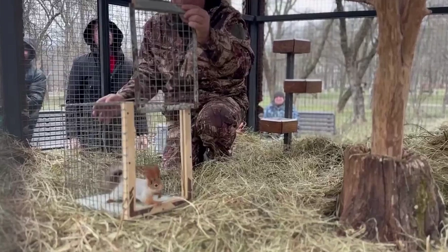 Фото: Ростовский-на-Дону зоопарк