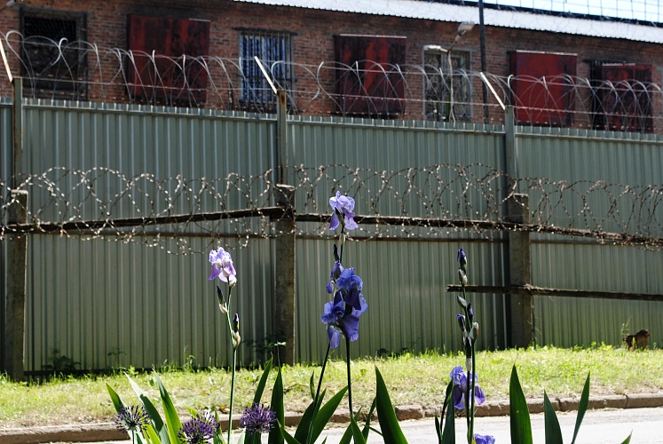 Фото: Двух осуждённых женщин из Ростовской области помиловал президент Путин, фото - 1rnd