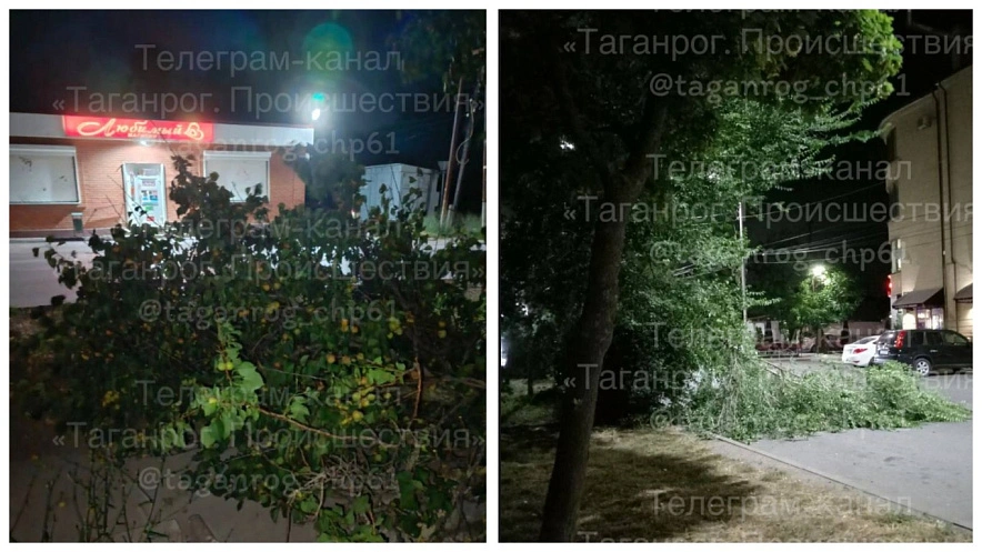 Фото: кадр ТГ "Таганрог. Происшествия"