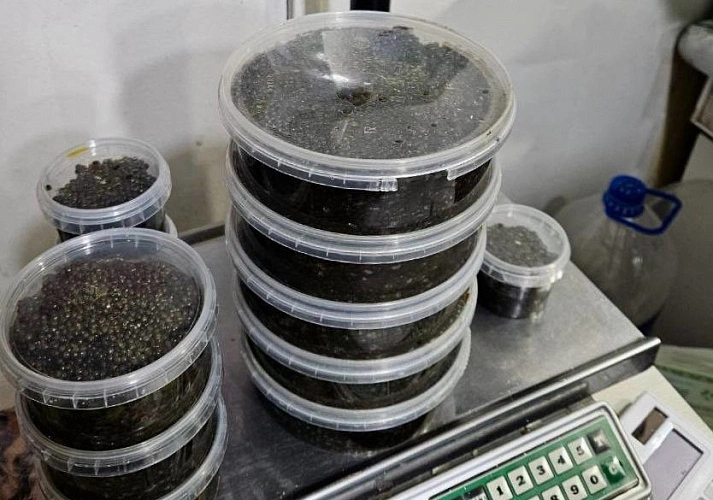 Фото: изъятая икра // кадр ГУ МВД РФ по РО