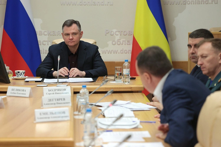 Фото: Правительство РО