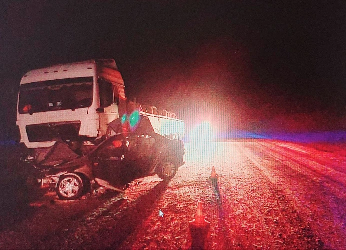 Фото: MAN смял легковушку под Сальском, кадр ГАИ