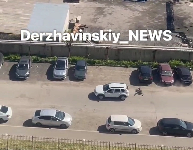 Фото: драка в Ростове // скриншот видео из ТГ-канала «Державинский news»