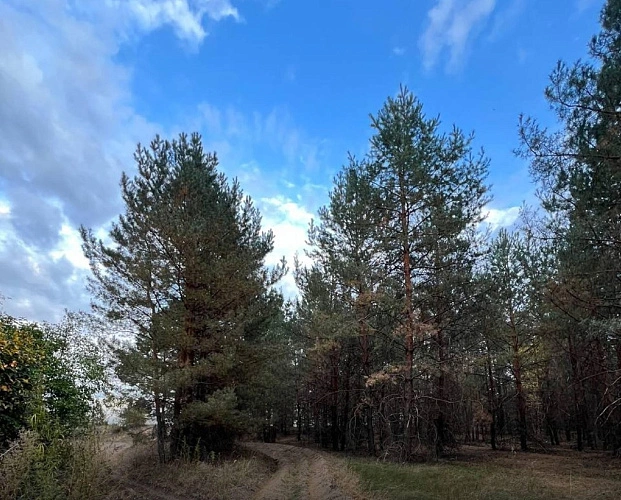 Фото: Минприроды Ростовской области