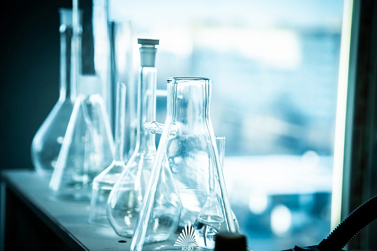 Фото: пресс-центр ЮФУ