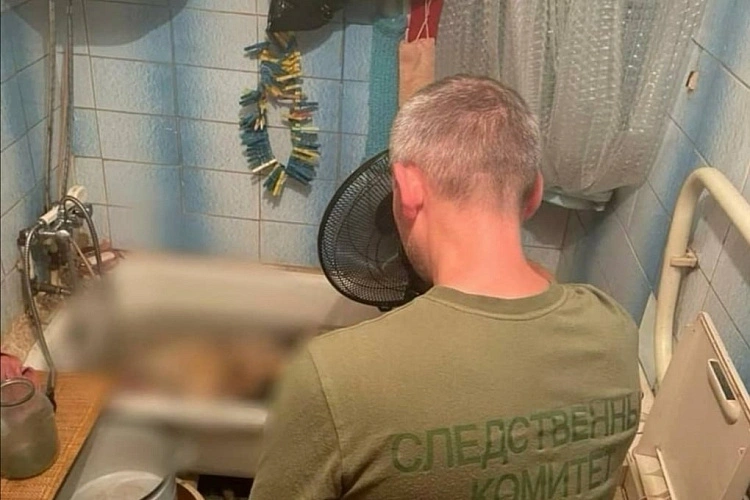 Фото: источника 1rnd.ru