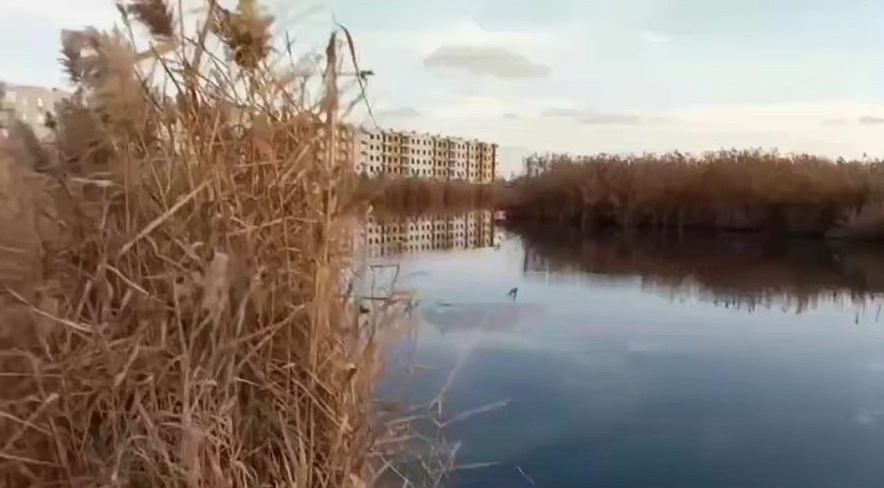 Фото: скрин из видео 