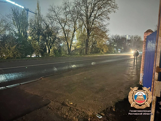 Фото: Госавтоинспекции Ростовской области 