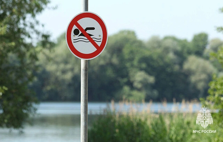 Фото: пресс-служба МЧС по РО