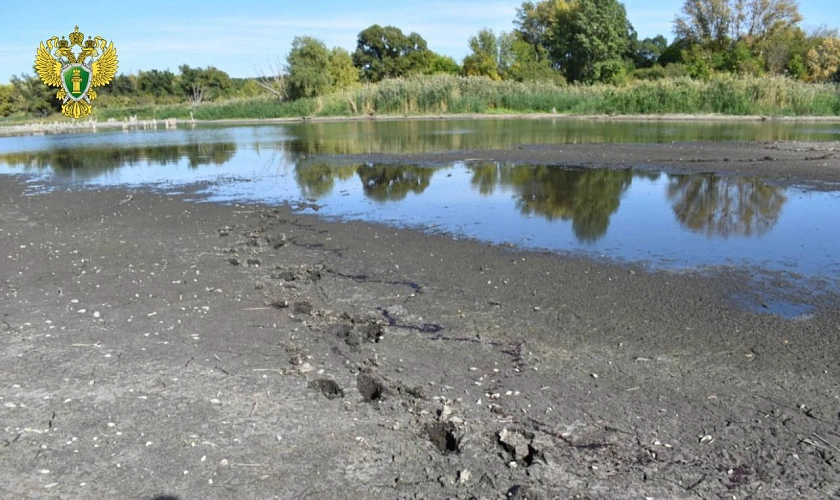 Фото: Прокуратура Ростовской области