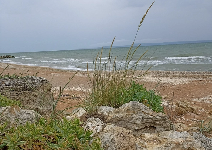 Фото: пресс-центр ЮФУ