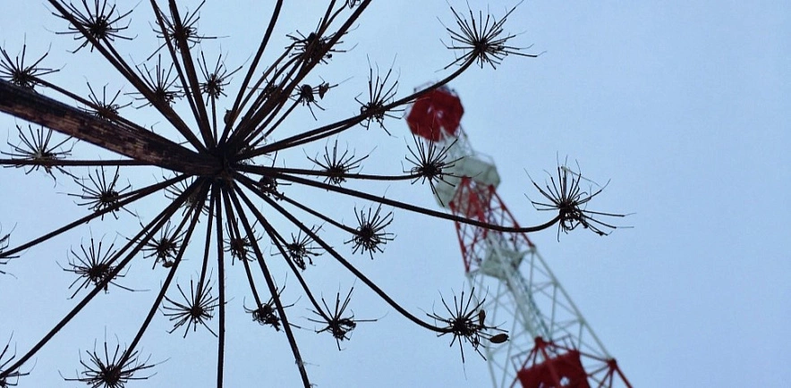 Фото: Телевизионная вышка, кадр из ВК РСТС