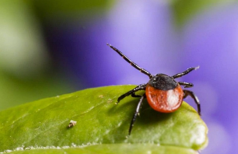 Фото: из архива Управление Роспотребнадзора по Ростовской области