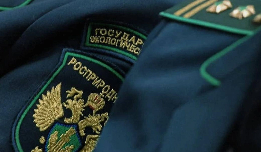 Фото: пресс-службы РПН