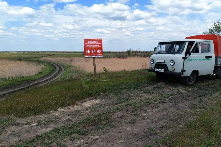 Фото: Правительство Ростовской области 