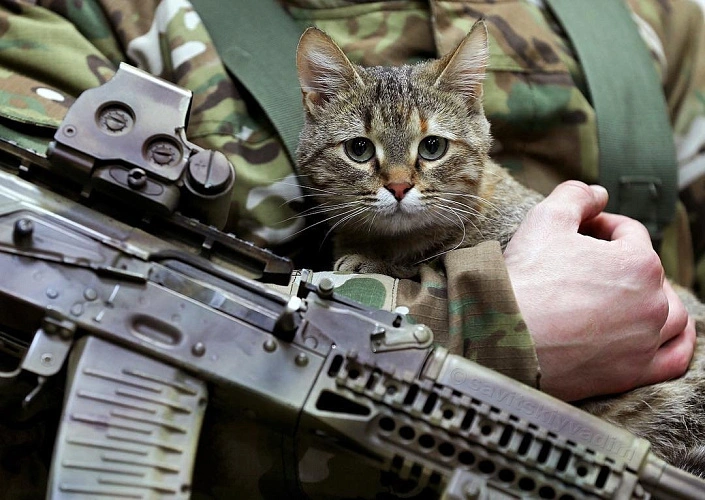 Фото: из паблика "Женский батальон"