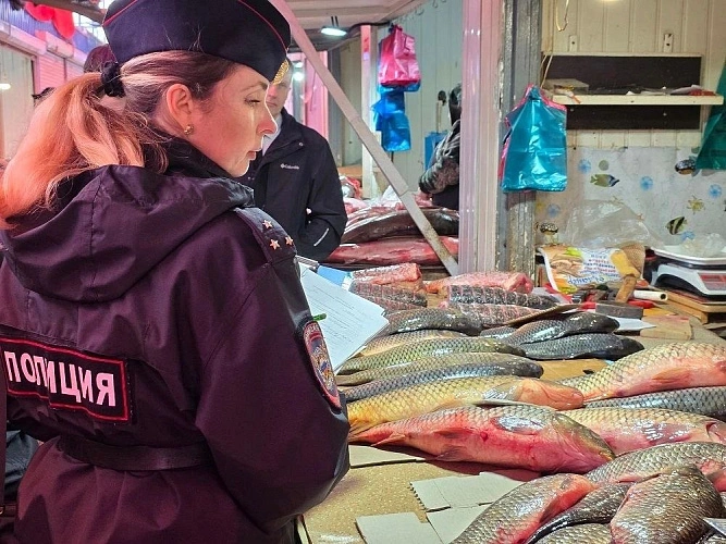 Фото: МВД по Ростовской области 