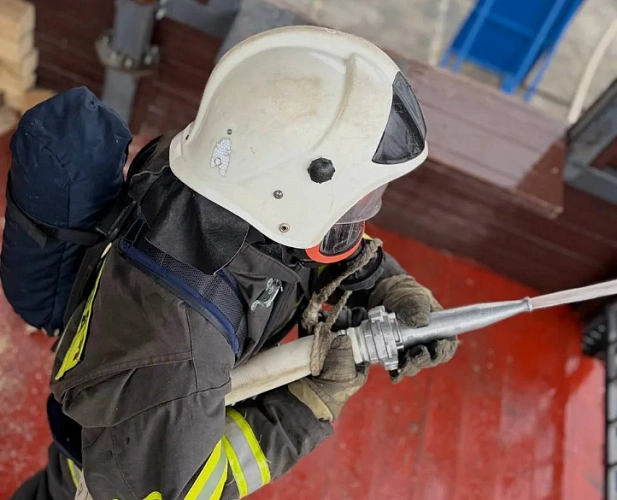 Фото: кадр донского МЧС