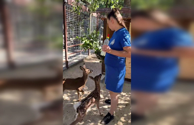 Фото: Парк «Лога»