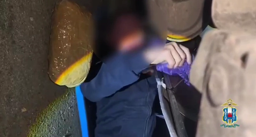 Фото: скрин из видео МВД по Ростовской области