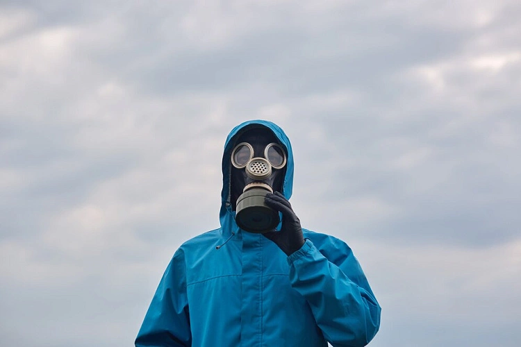 Фото: кадр Freepik